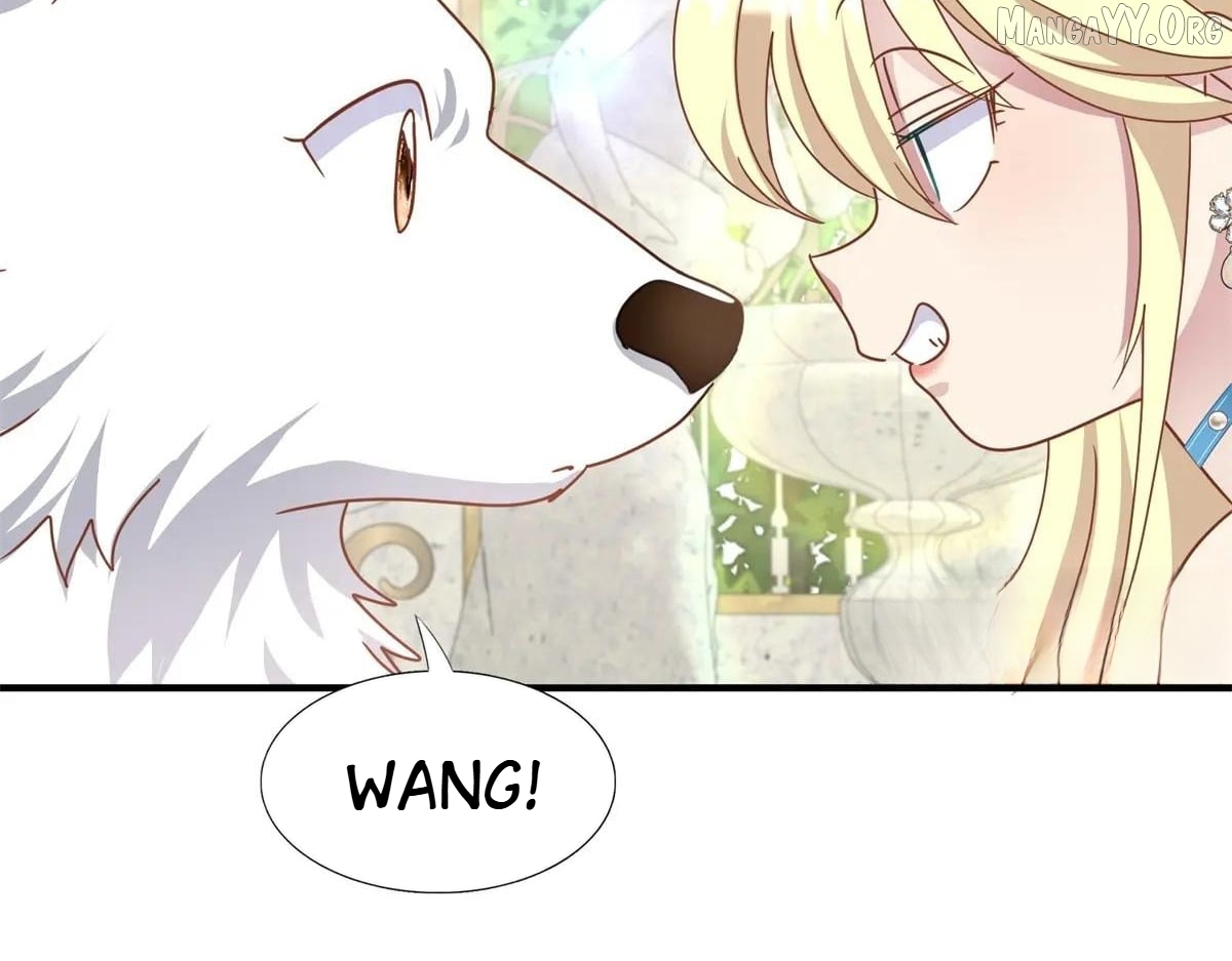 Don't Embarrass Me Chapter 182 - page 47